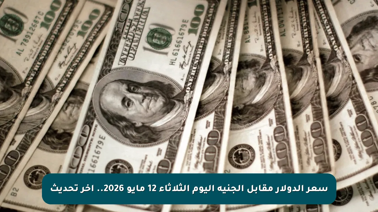 سعر الدولار مقابل الجنيه اليوم الثلاثاء 12 مايو 2026.. آخر تحديث